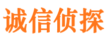 桃城外遇出轨调查取证